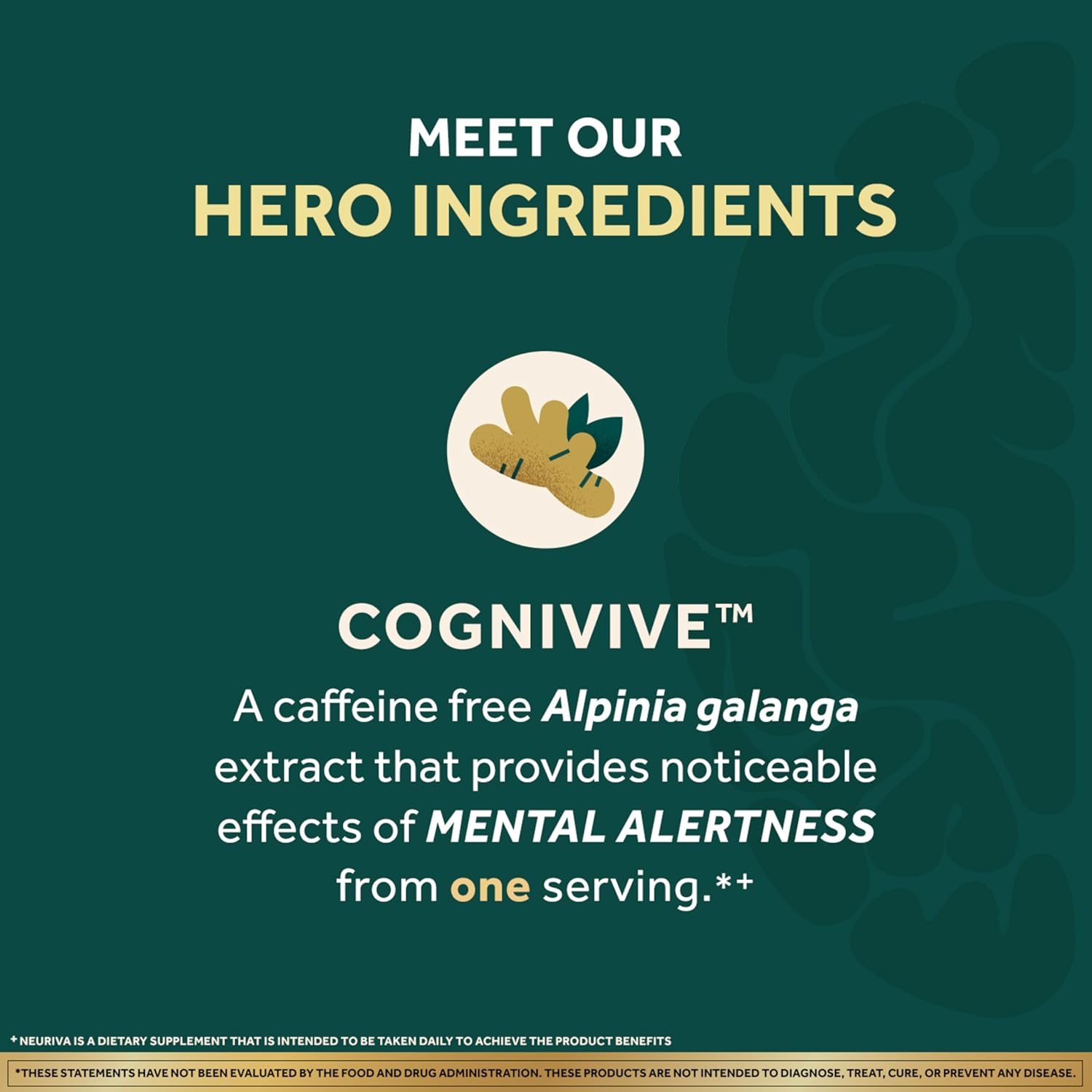 Neuriva Brain Health Ultra 60 Capsules hero ingredients
